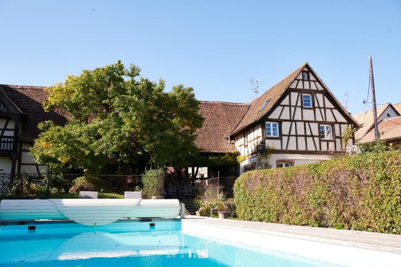 La Cour De Lise Maison D'Hotes Et Spa Willgottheim Ngoại thất bức ảnh